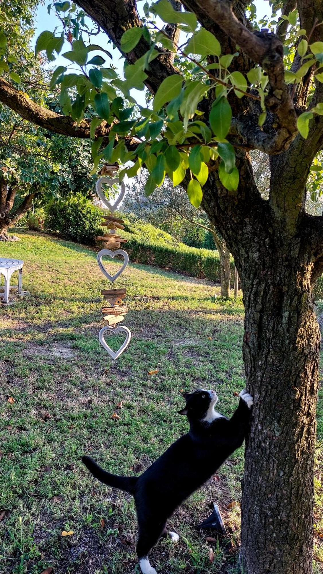 Affittacamere Casa Lucesole Fontanile Esterno foto