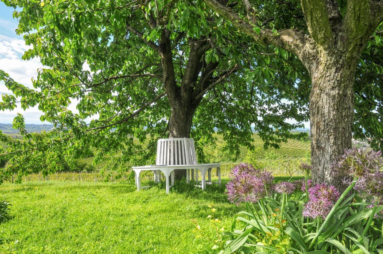 Affittacamere Casa Lucesole Fontanile Esterno foto