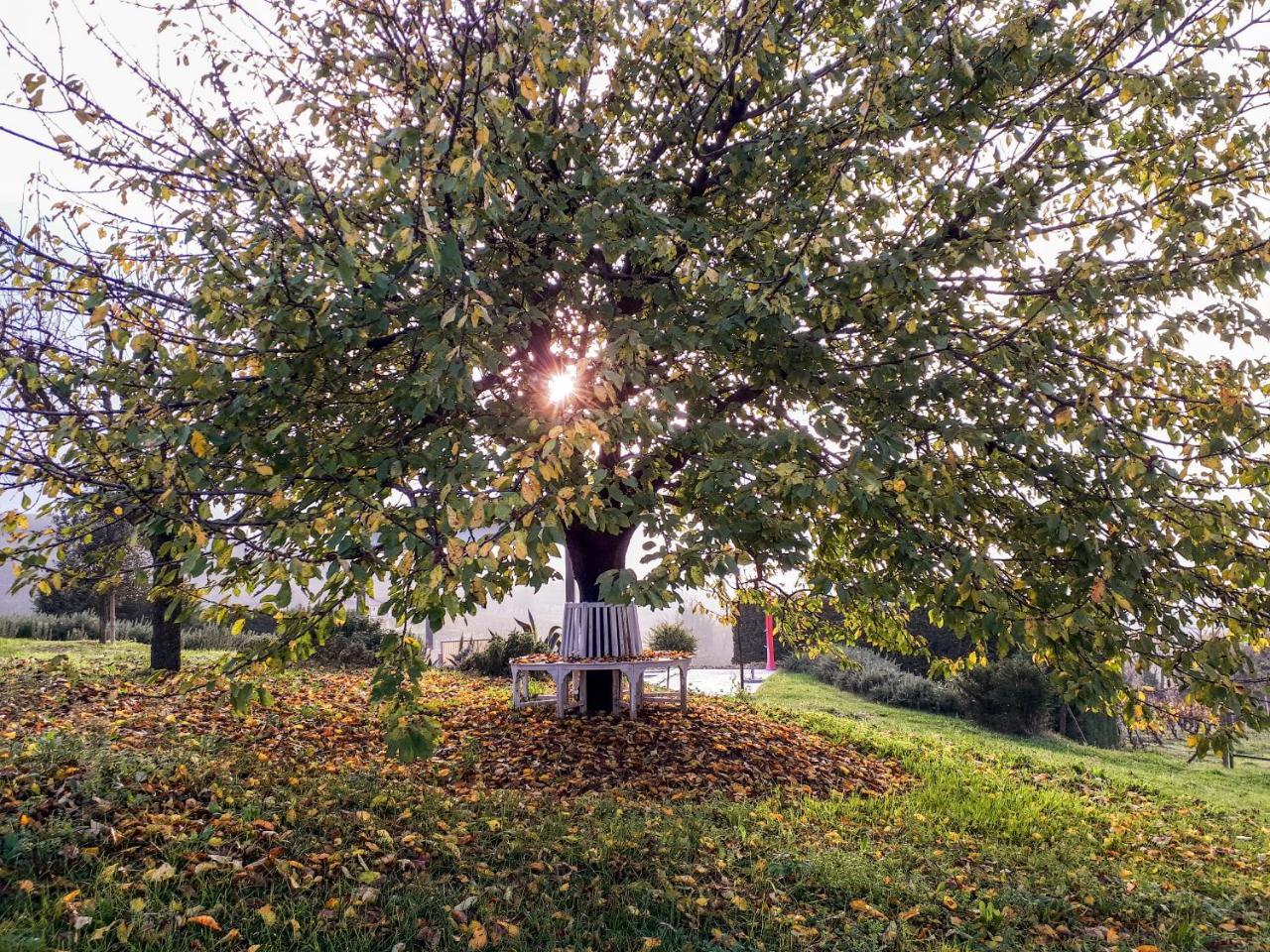 Affittacamere Casa Lucesole Fontanile Esterno foto